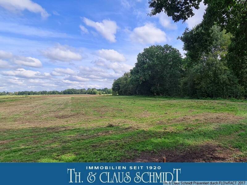 Ländliches Baugrundstück mit kl. Weide für Ihr Lieblingstier zimmer