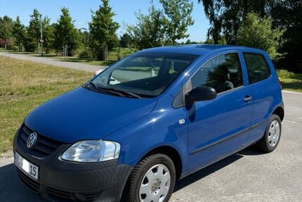 VW Fox
