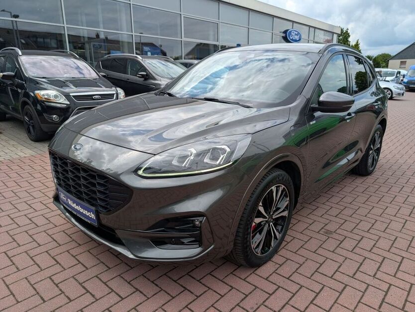 Kuga