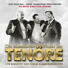 Himmlische Nacht der Tenöre - Das Original - Live und ohne technische Verstärkung
