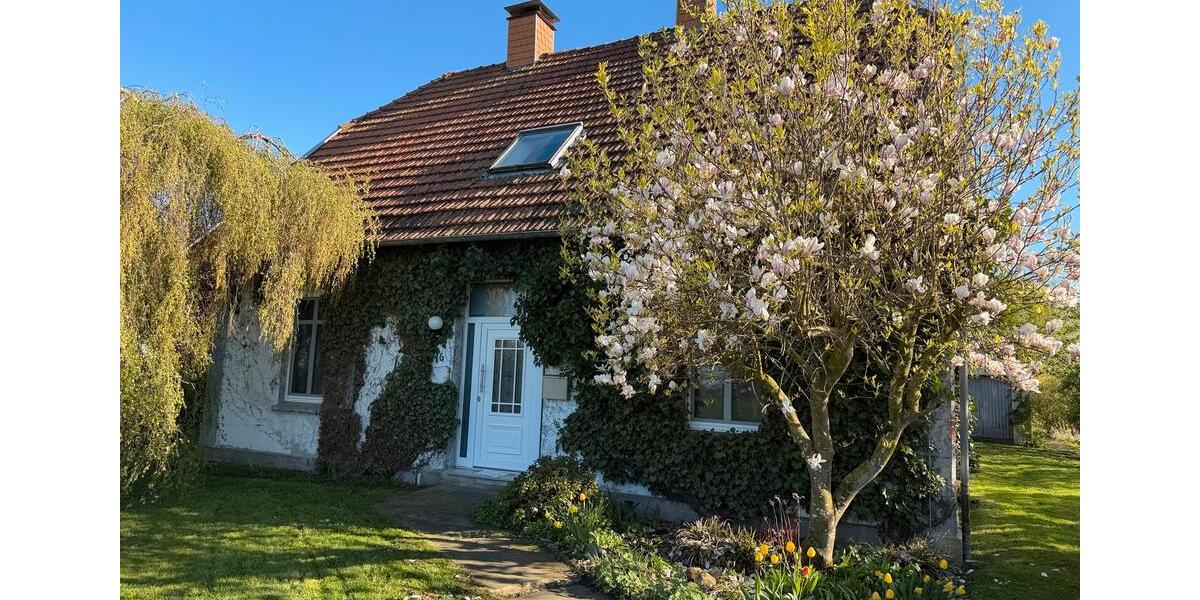 Einfamilienhaus Jade - 5 Zimmer, 135 m&sup2;, 234.000&euro; | Angebot:26270844