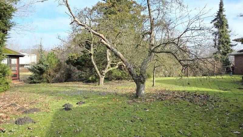 Bungalow Delmenhorst Deichhorst - 5 Zimmer, 130 m&sup2;, 349.000&euro; | Angebot:25692775