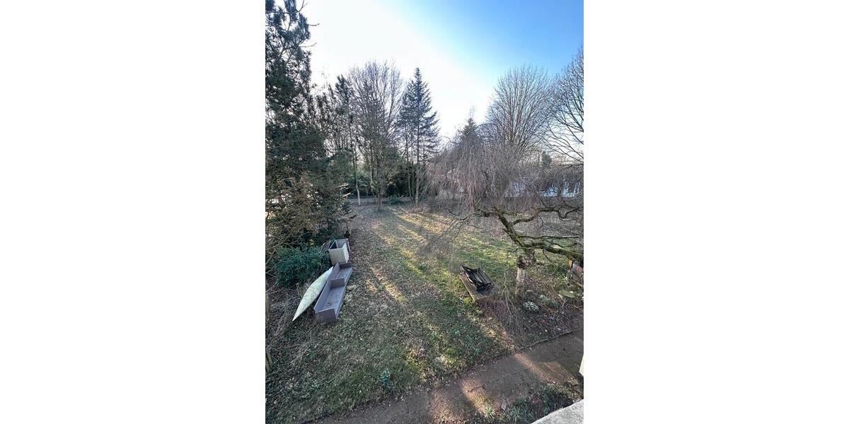 3 Zimmer Wohnung zimmer