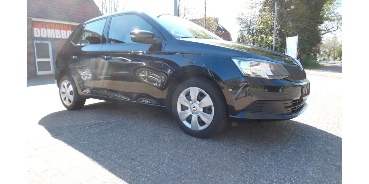 Skoda Fabia 120.194 km 9.490 &euro; Wardenburg OT Tungeln 26203
