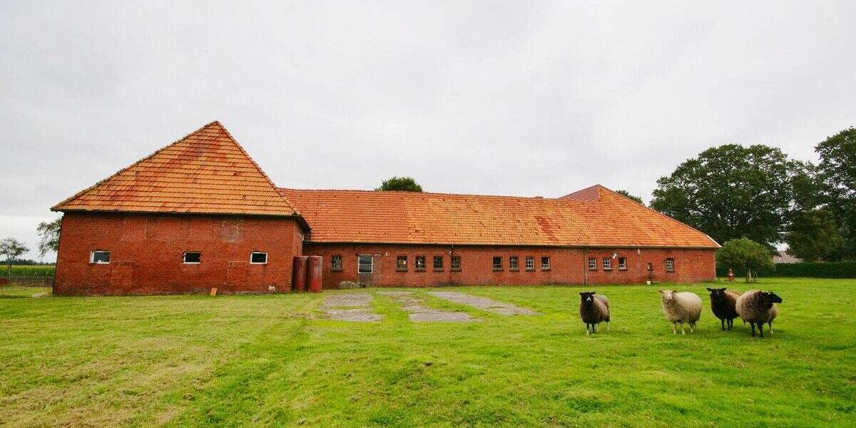 Mehrfamilienhaus, Wohnhaus Westerstede / Ocholterfeld Ocholterfeld - 4 Zimmer, 121 m&sup2;, 399.000&euro; | Angebot:25771391