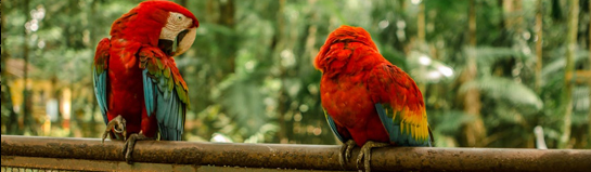 Tier- und Freizeitpark Thüle