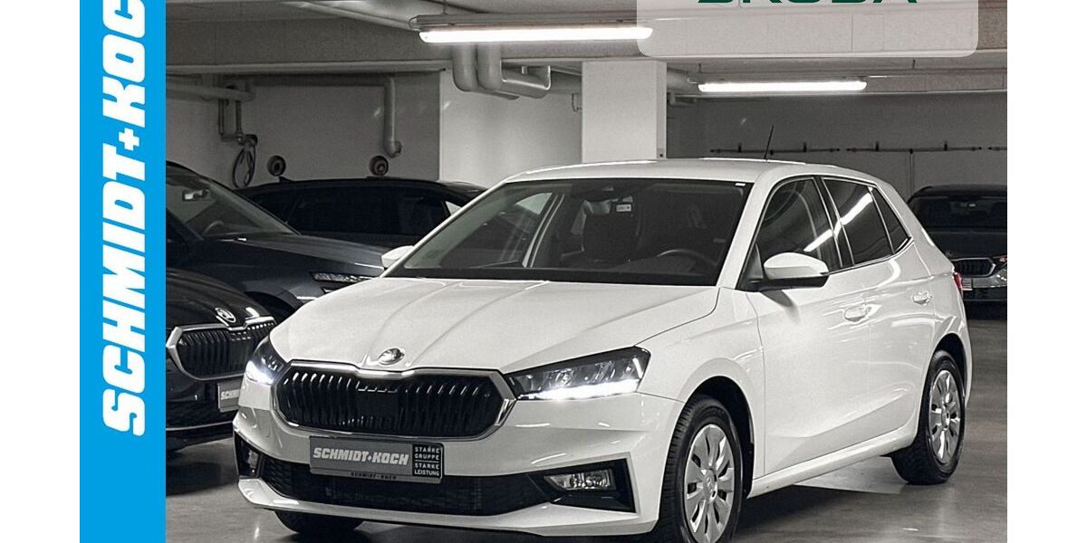Skoda Fabia 9.256 km 18.995 &euro; Oldenburg 26123