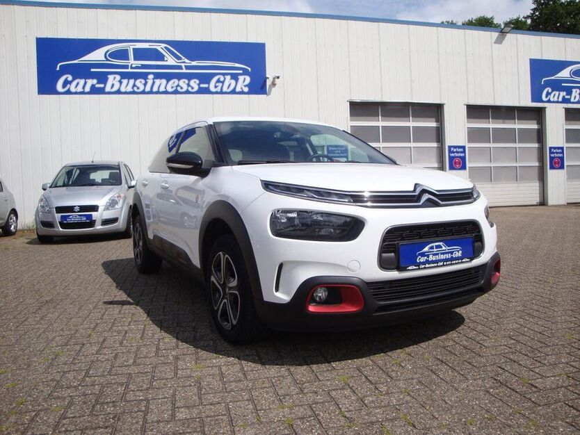 C4 Cactus