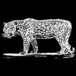 Willkommen im Dschungel Festival ticket - 16th edition