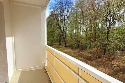 Wohnung zum Mieten in Freiberg 463 € 57.84 m²