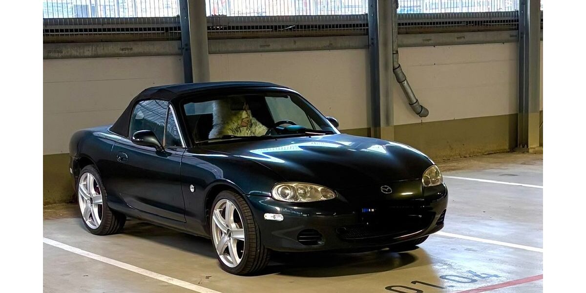 Mazda MX-5 116.000 km 5.300 &euro; Oldenburg 26129