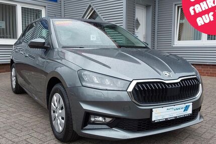 Skoda Fabia 2.500 km 17.900 &euro; Augustfehn 26689