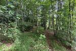 Exklusive Seeliegenschaft in Großenkneten 31.404m² Naturidyll mit privatem Steg und eigenem Wäldchen