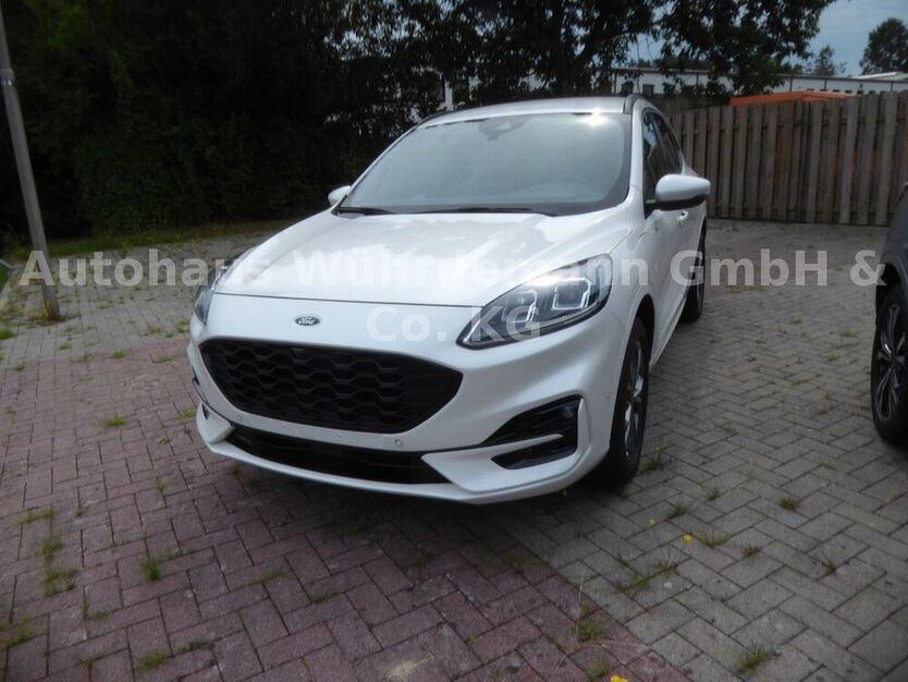 Kuga
