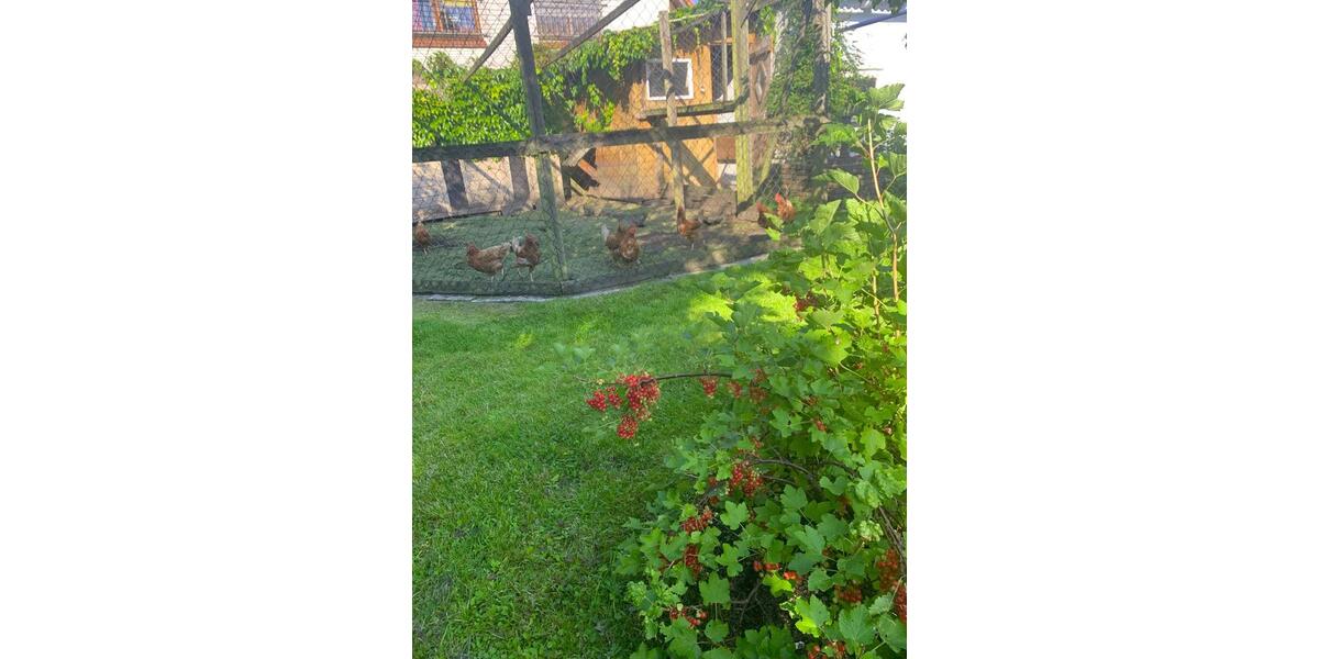 Einfamilienhaus Oldenburg Alexandersfeld - 8 Zimmer, 202 m&sup2;, 689.000&euro; | Angebot:26920855