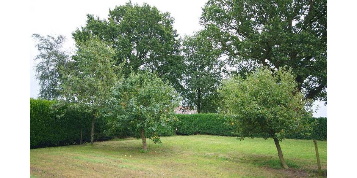 Mehrfamilienhaus, Wohnhaus Westerstede / Ocholterfeld Ocholterfeld - 4 Zimmer, 121 m&sup2;, 399.000&euro; | Angebot:25771391