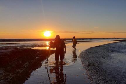 Wohnung Jade - 2 Zimmer, 37 m&sup2;, 72.000&euro; | Angebot:25236032